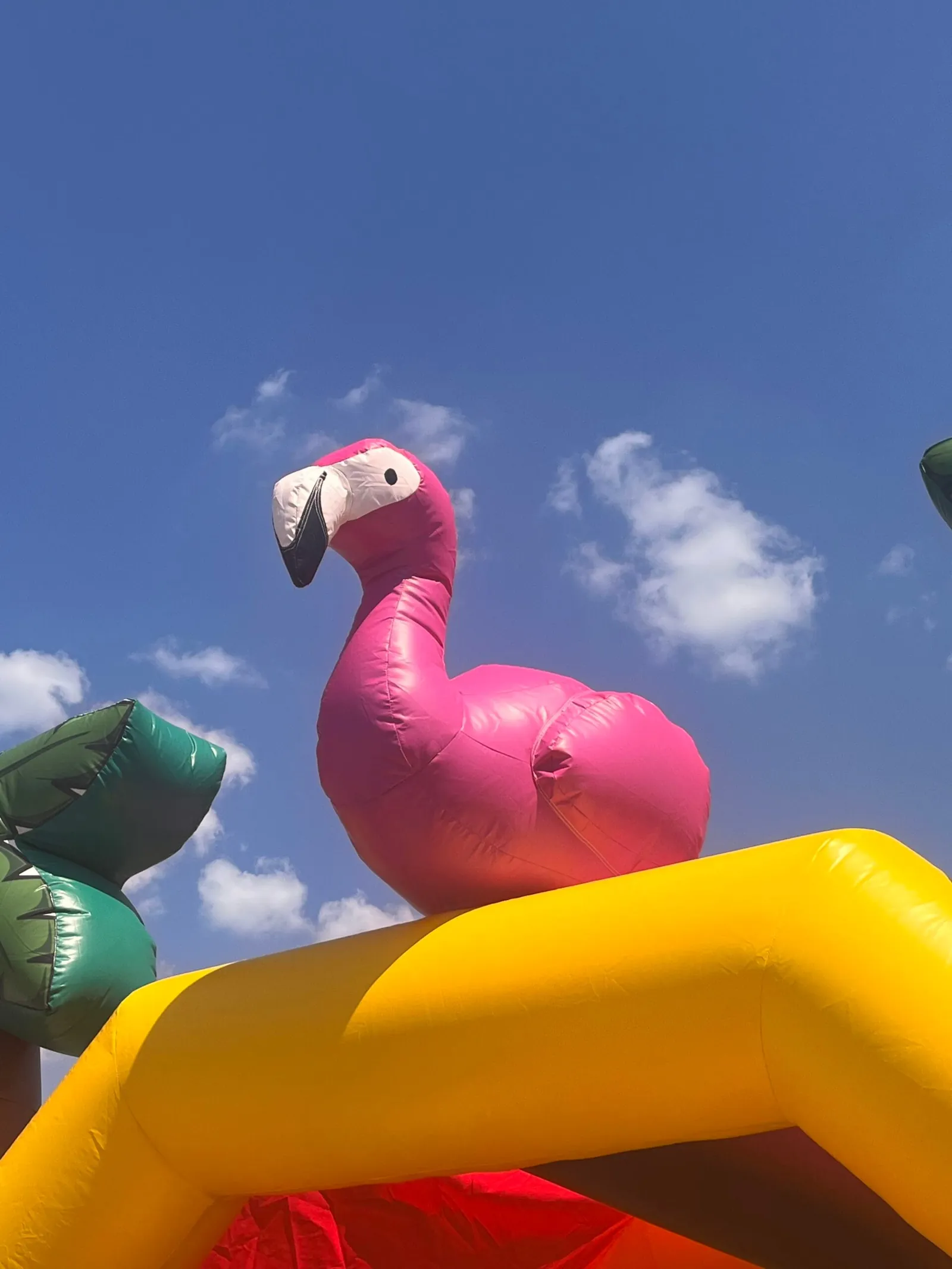 Flamingo Hüpfburg Bild 7