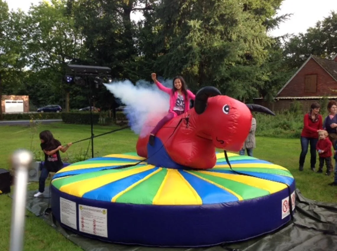 Kinderbullriding Bild 3