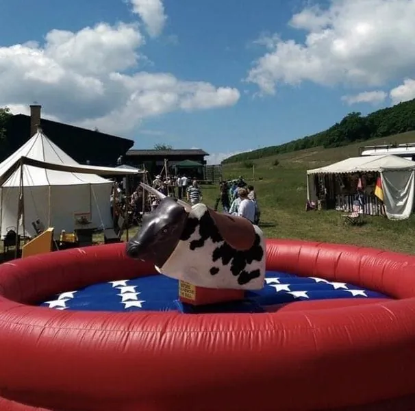 American Bullriding Bild 2
