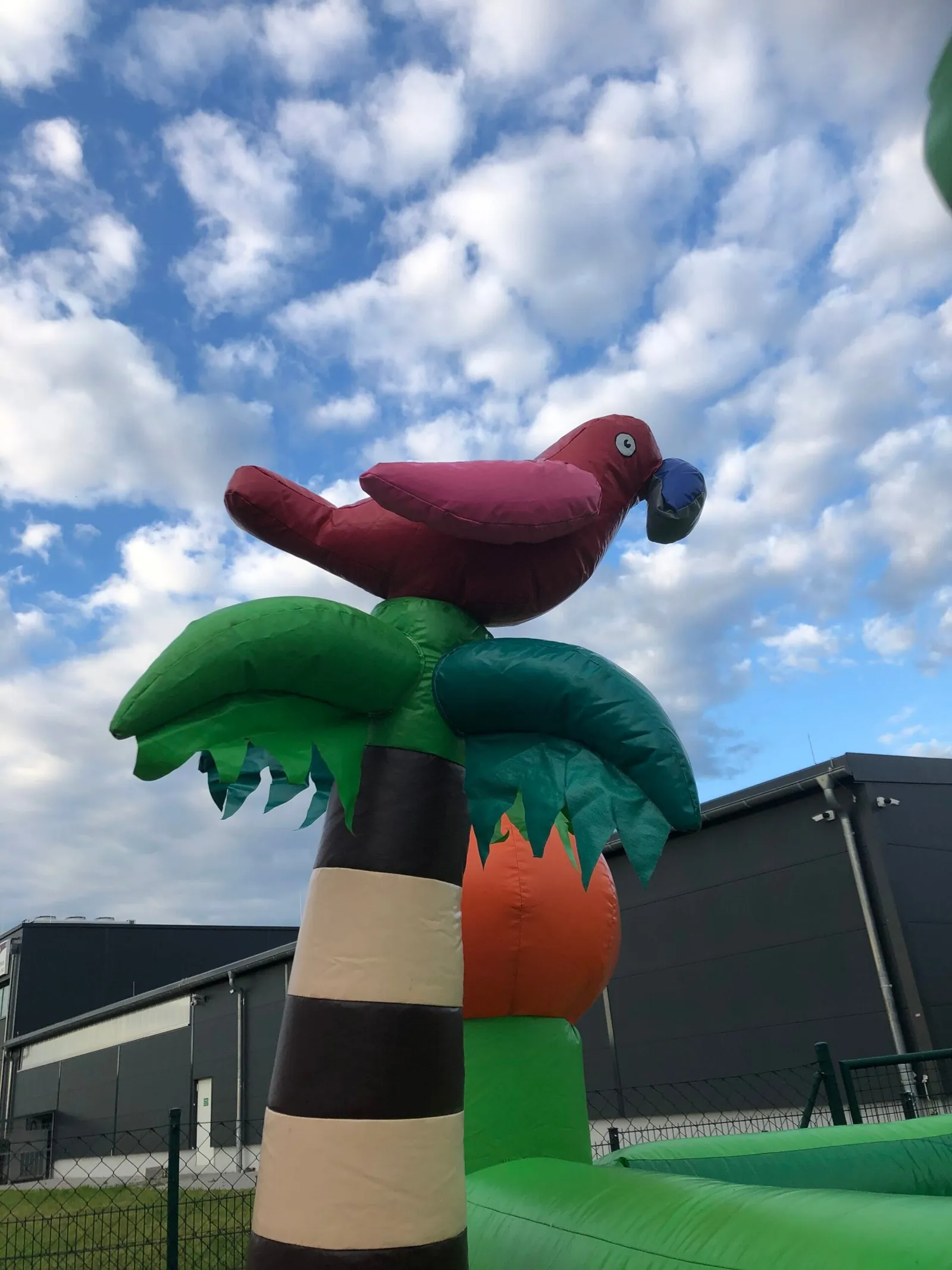 Äffchen Hüpfburg Bild 6