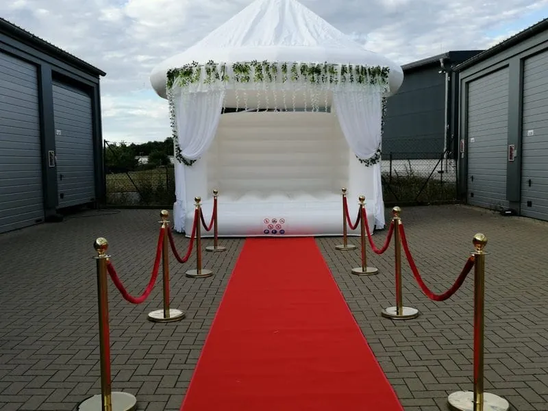 VIP Teppich mit Leitpfosten Bild 4