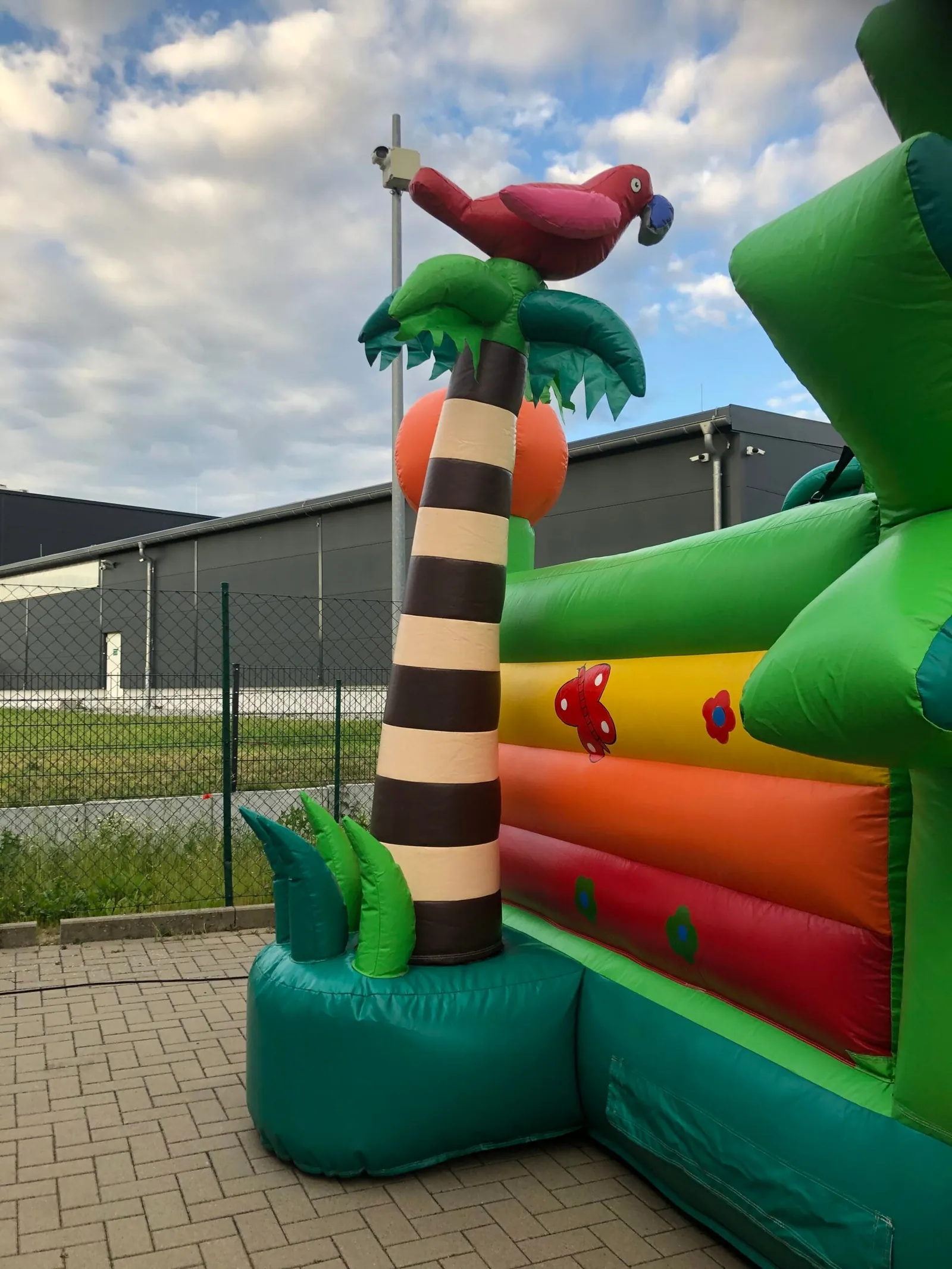 Äffchen Hüpfburg Bild 7