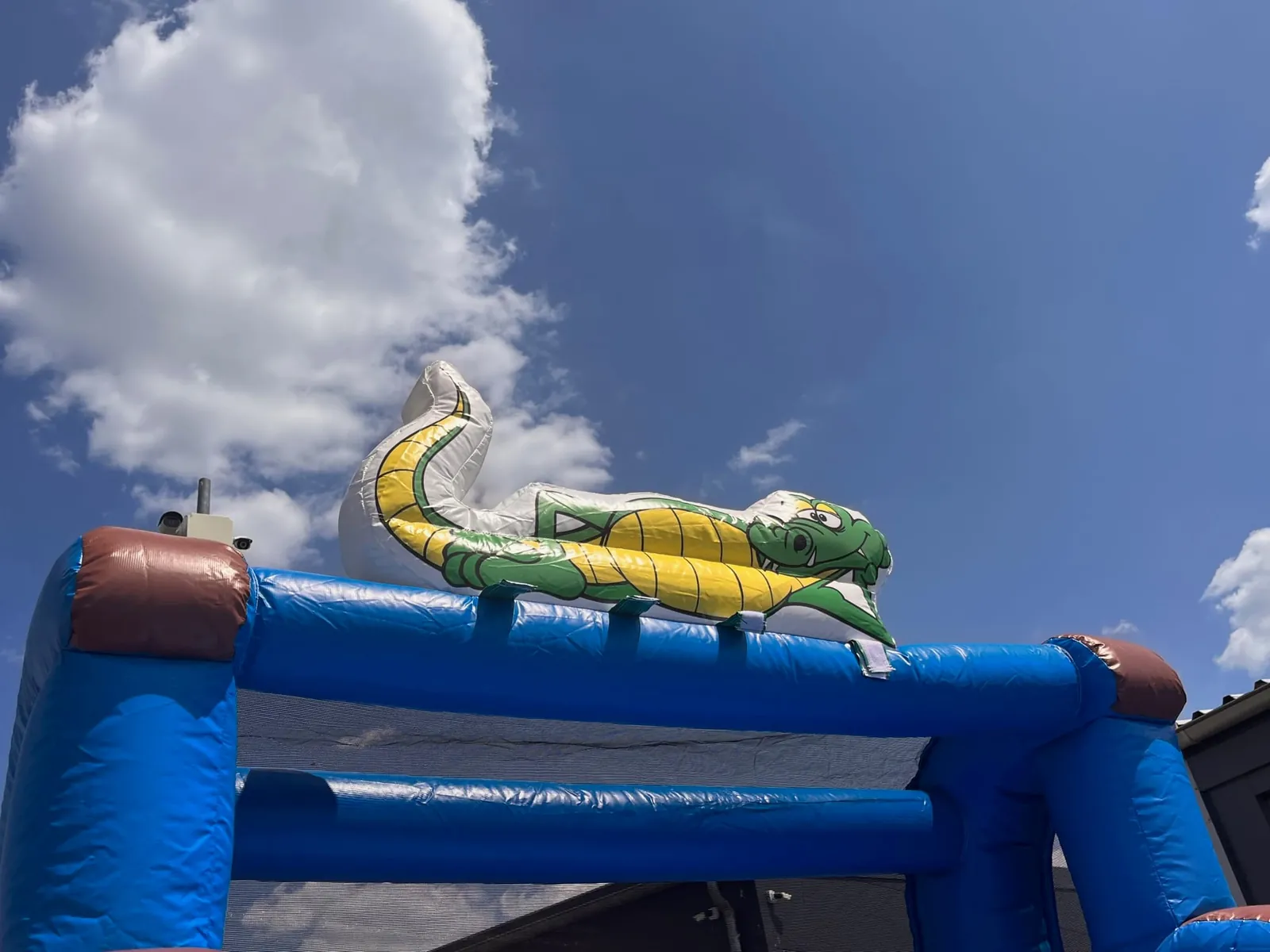 Kroko Pool Bild 6