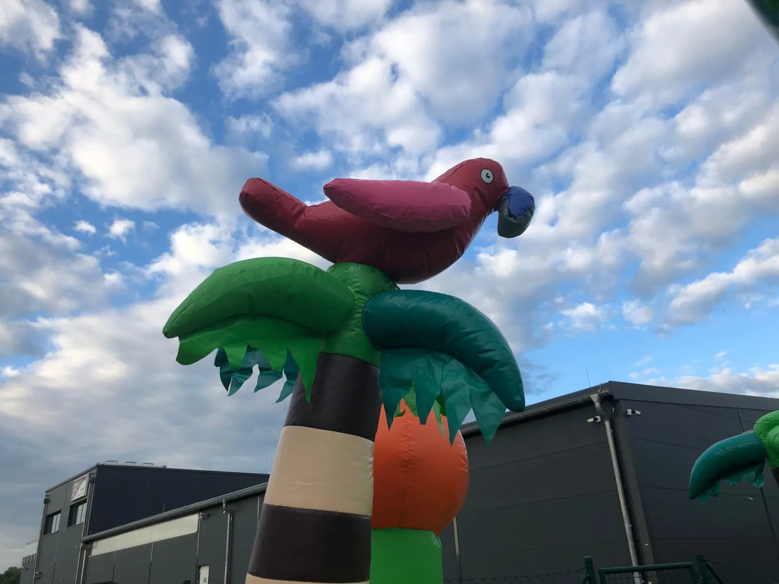 Äffchen Hüpfburg Bild 5