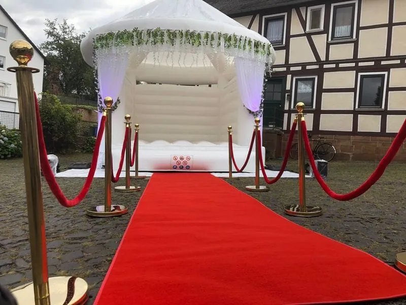 VIP Teppich mit Leitpfosten Bild 5