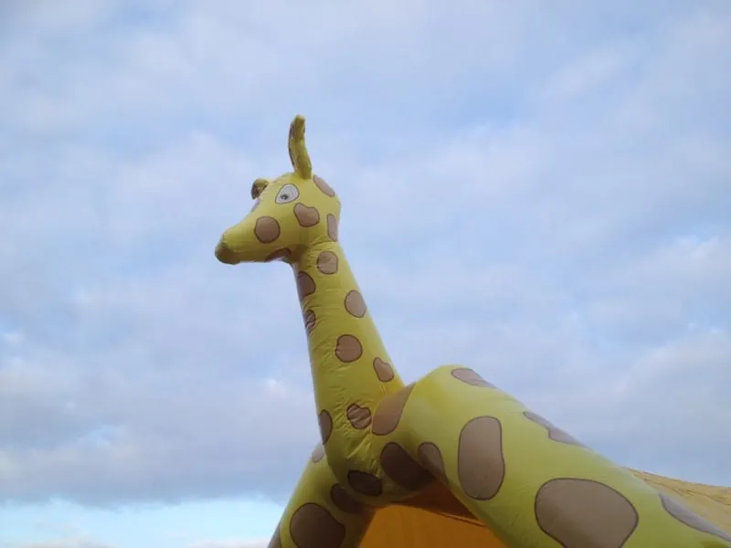 Giraffen Hüpfburg Bild 5