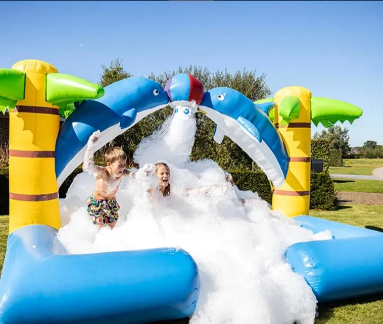 Delfin Bubblepark Bild 5