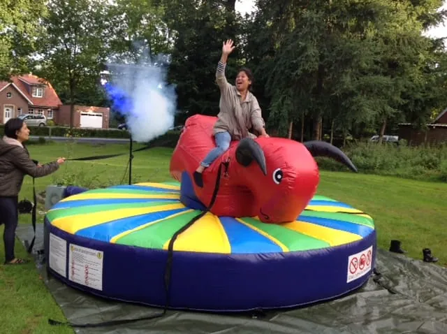 Kinderbullriding Bild 2